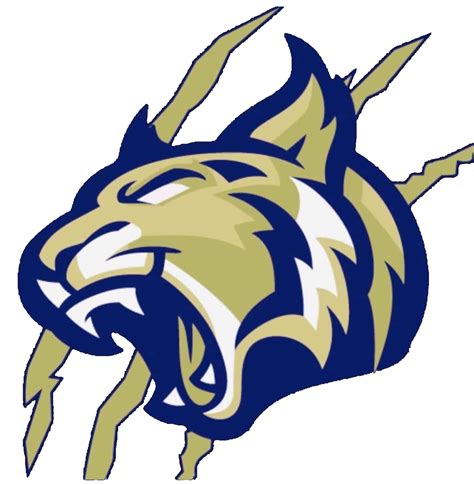 The Fabens Wildcats Scorestream
