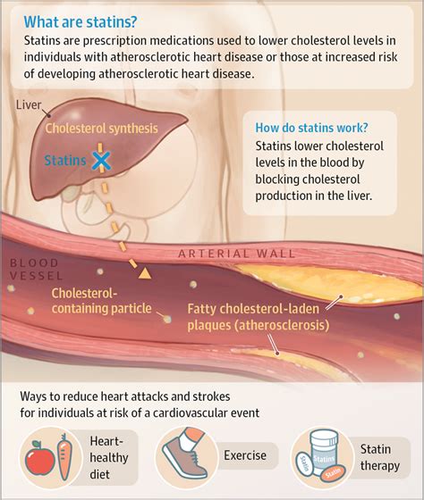 Statins And The Prevention Of Heart Disease Cardiology Jama