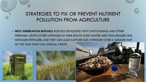 Ppt Eutrophication Nutrient Pollution Solutions Review Powerpoint