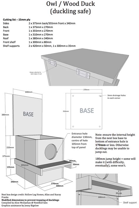 Boobook Owl – Nest Box Tales