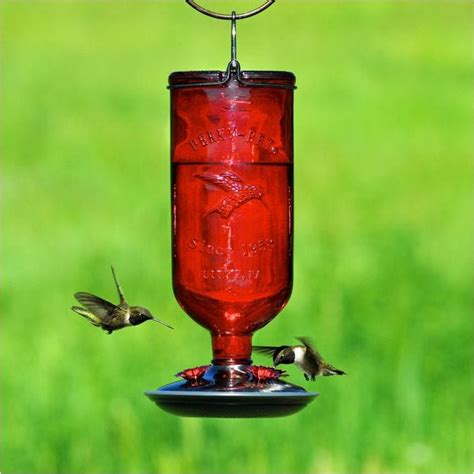 Perky Pet Red Antique Bottle Hummingbird Feeder Perky Pet Bird Feeders