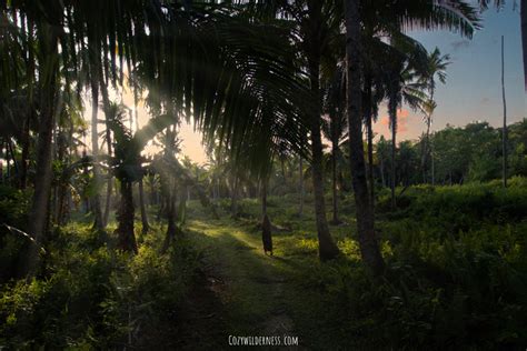 Amazing Places In The Philippines Cozy Wilderness