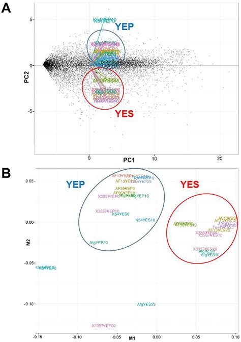 Principal Component And Multi Spatial Analyses Of Aspergillus Flavus Download Scientific