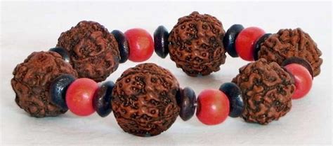 Benefits of Four Mukhi Rudraksha