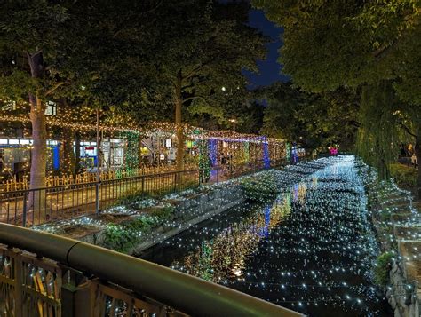 幻想的な灯りに魅せられて～岡山後楽園 ほっこり、まったり、ふんわりな日々