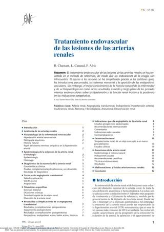 Emc Tratamiento Endovascular De La Lesiones Arteria Renal Pdf