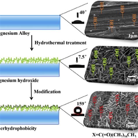 A Correlation Between Naked Mg Alloy Hydrophobically Treated Mg