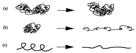 Modes Of Protein Deformation A Domain Motion B Domain Deformation