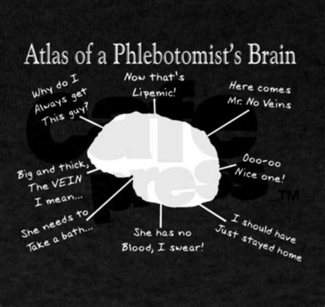 Things Going On In Your Brain All Day Phlebotomy Humor Phlebotomy