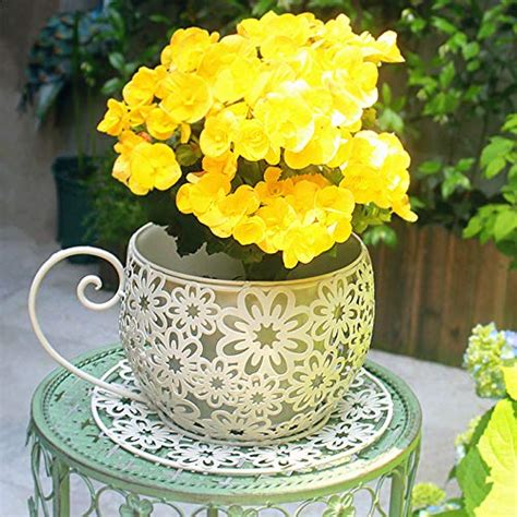 Best Large Tea Cup Planter