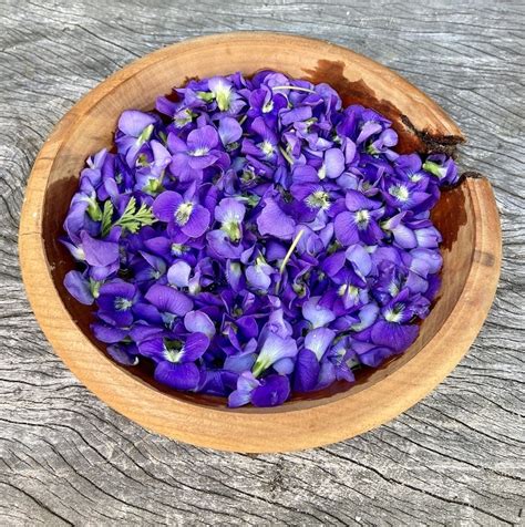 Ultimate Guide To Wild Edibles Spring Wild Edibles