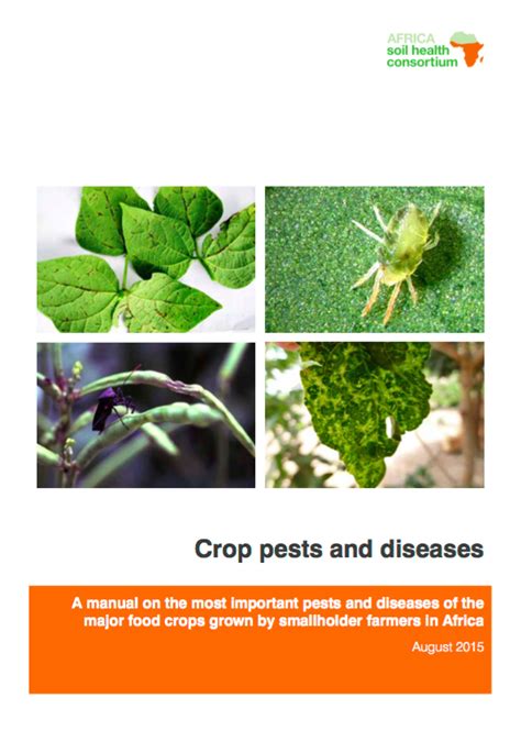 Crop Pests And Diseases Ccardesa