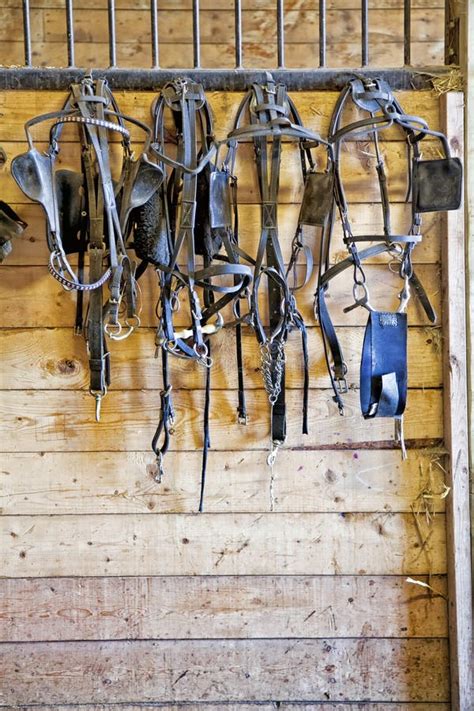 Harness Racing Equipment stock photo. Image of stall - 25279000