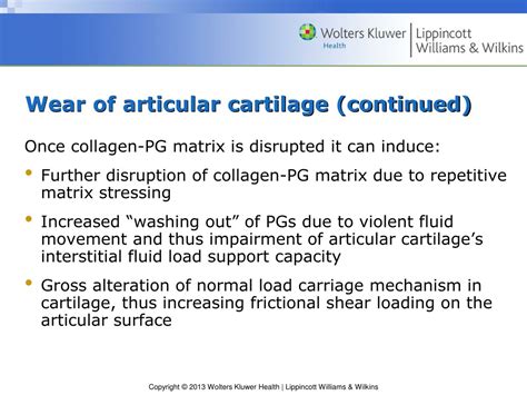 PPT - Chapter 3 Biomechanics of Articular Cartilage PowerPoint