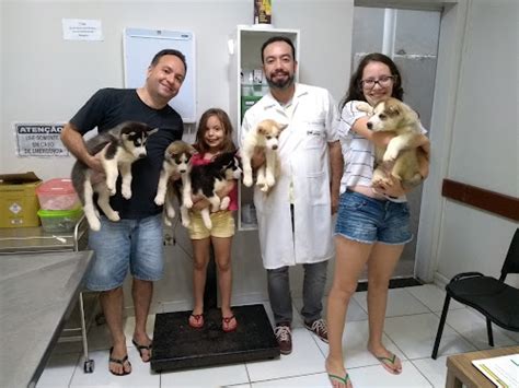 Os Melhores Veterin Rios Do S O Lu S Melhores Veterinarios Pt