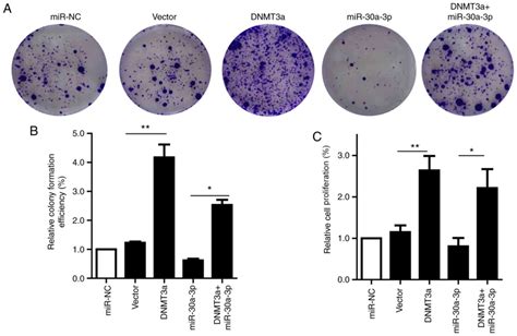 Mir‑30a‑3p Inhibits The Proliferation Of Liver Cancer Cells By