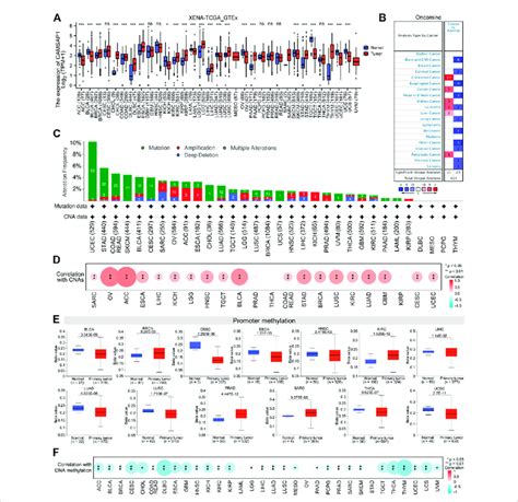 Pan Cancer Expression Of Camsap1 Is Associated With Genetic Alteration