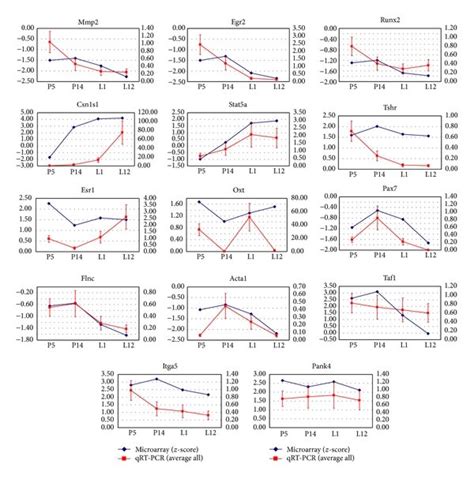 Validation of differentially expressed genes identified by microarray ...