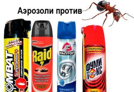 Как избавиться от муравьев в огороде и на садовом участке навсегда ...