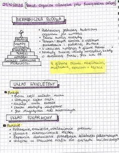 Pomysły z tablicy Notatki biologia 38 biologia uczenie biologii