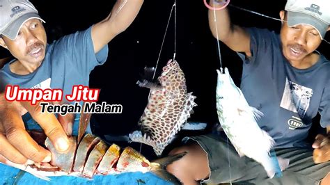 Tengah Malam Ikan Disini Gak Pernah Tidur Semua Orang Pasti Betah