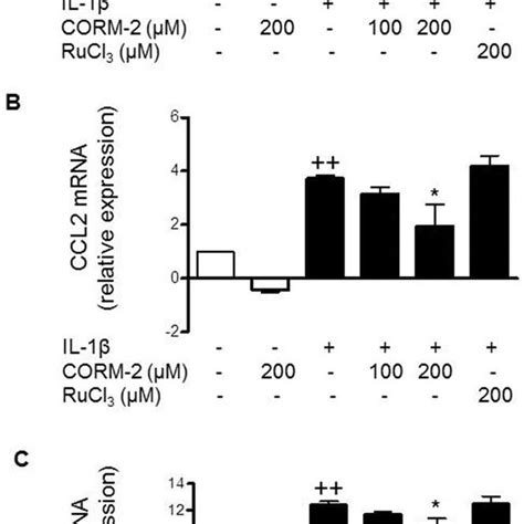 Effect Of Corm On Chemokine Mrna Levels In Oa Synoviocytes A Il