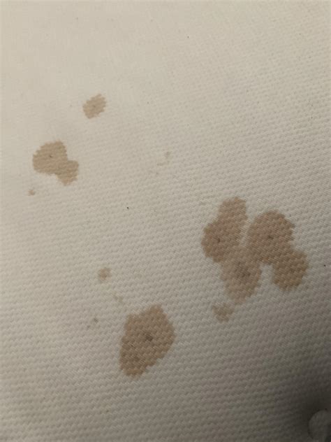 Are These Bed Bug Stains Rbedbugs