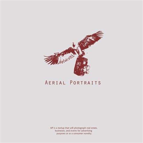 Design A Simple Modern Logo For Aerial Portraits Logo Design Contest