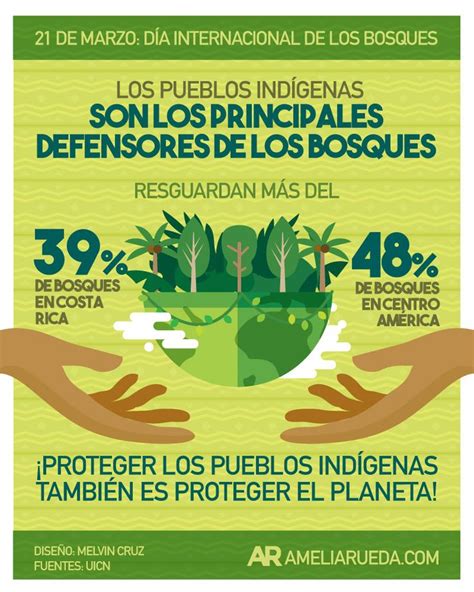 Dia Mundial De Los Bosques Infografias Agencia Efe Infografia Images