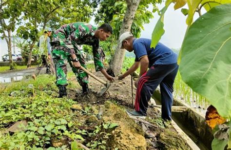 Kodim Bojonegoro Tanam Ribuan Pohon Penghijauan Surabaya Today