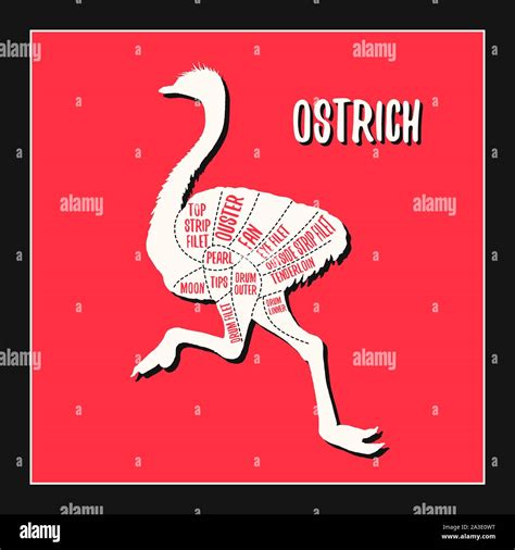 Ostrich Meat Cuts