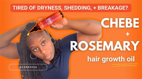 How To Use Chebe Rosemary Hair Growth Oil The Ultimate Hair Growth Blend For Natural Hair