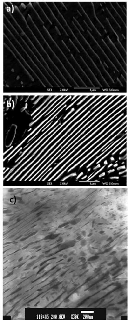 Sem Micrographs And The Corresponding Colonies Outline For