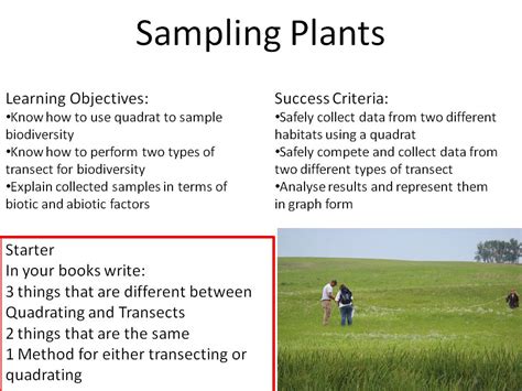 Sampling Plants New Gcse Bio Indoorsoutside Teaching Resources