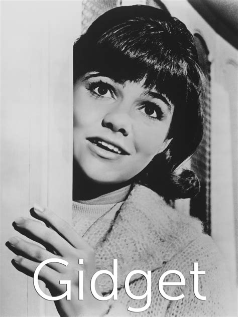 Gidget Tv Show Remake Cast Maxima Danner