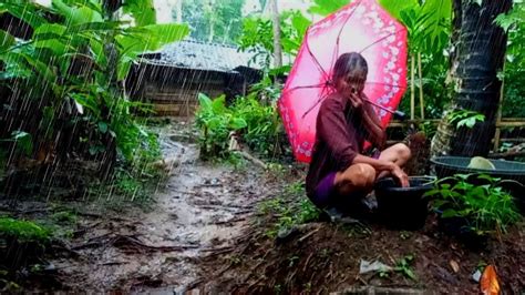 Suasana Syahdu Saat Hujan Deras Mengguyur Pedesaan Adem Ayem Tentram