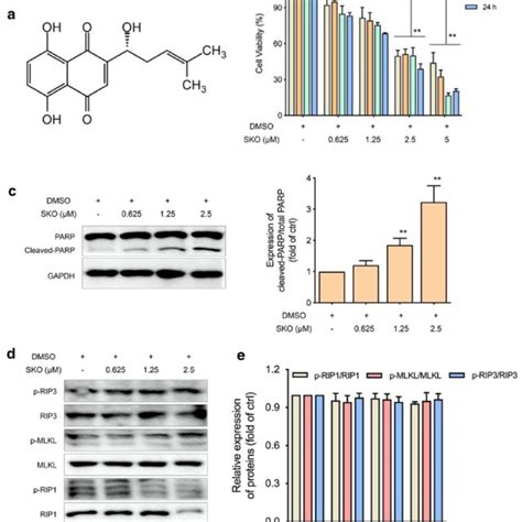 SKO Induced Cell Necrosis And Apoptosis Both In A Concentration And