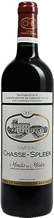 Château Chasse Spleen Moulis en Médoc Vin Rouge 750 ml Amazon fr