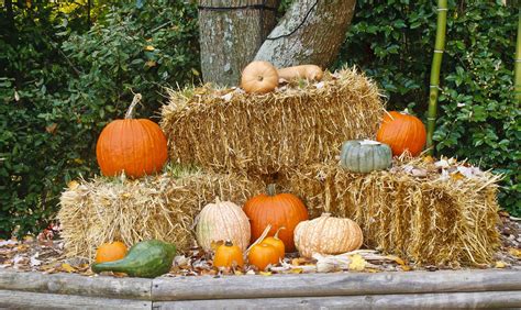 Fall Display of Pumpkins on Bales of Hay | Photo Remodeling Analysis