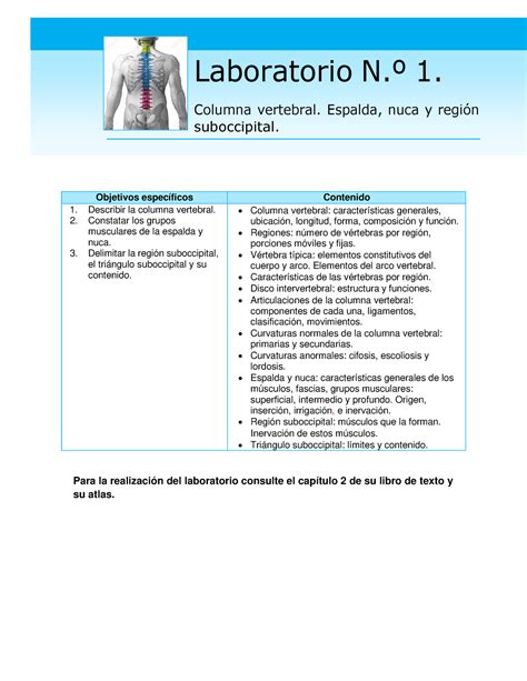 Guía de laboratorio 1 Macroanatomía observado Objetivos específicos