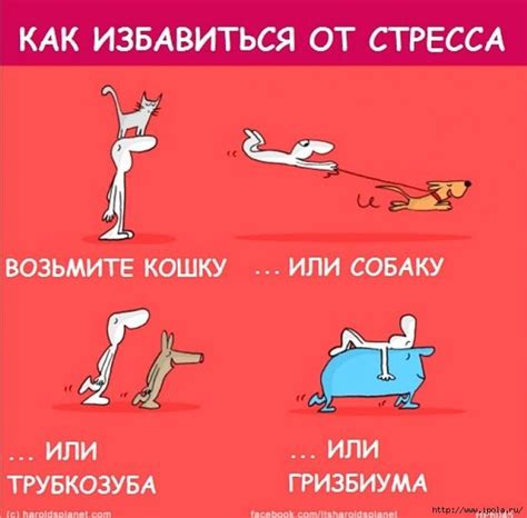 Упражнения для расслабления и снятия напряжения. Обсуждение на ...