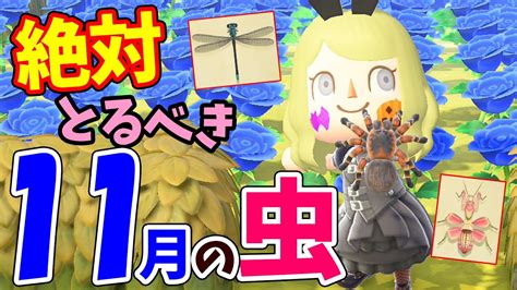 【あつ森】11月の虫を全て紹介！レアな虫の値段や捕まえ方のコツをコンプしながら徹底解説！タランチュラやトノサマバッタの模型を作ろう【あつまれ