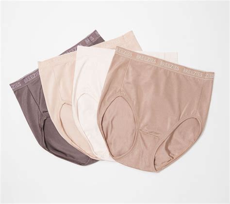 Breezies Set Of 4 Nylon Microfiber Hi Cut Panty Tonal Large A287800 New