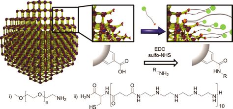 Schematic Illustration Of Mof Polymer Grafting To Via Amidation By