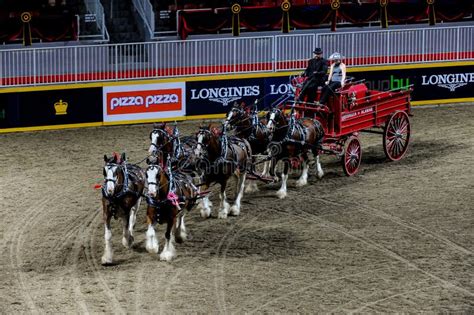 Royal Horse Show in Toronto Editorial Photography - Image of horseback ...