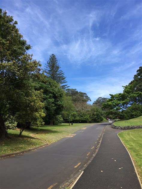 Mount Eden Jakeexia