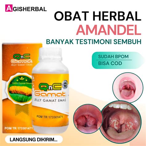 Jual Obat Amandel Anak Dan Dewasa Qnc Jelly Gamat Emas Asli 100