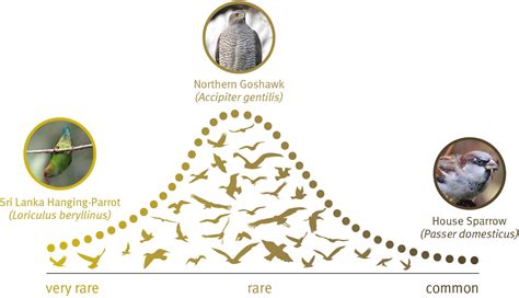 Scopri I Segreti Dell Abbondanza Delle Specie