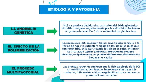 Enfermedad De Celulas Falciformes Pptx