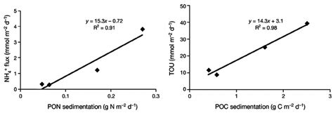 Average N 6 Sd Fluxes Of A Ammonium Nh 4 B Dissolved